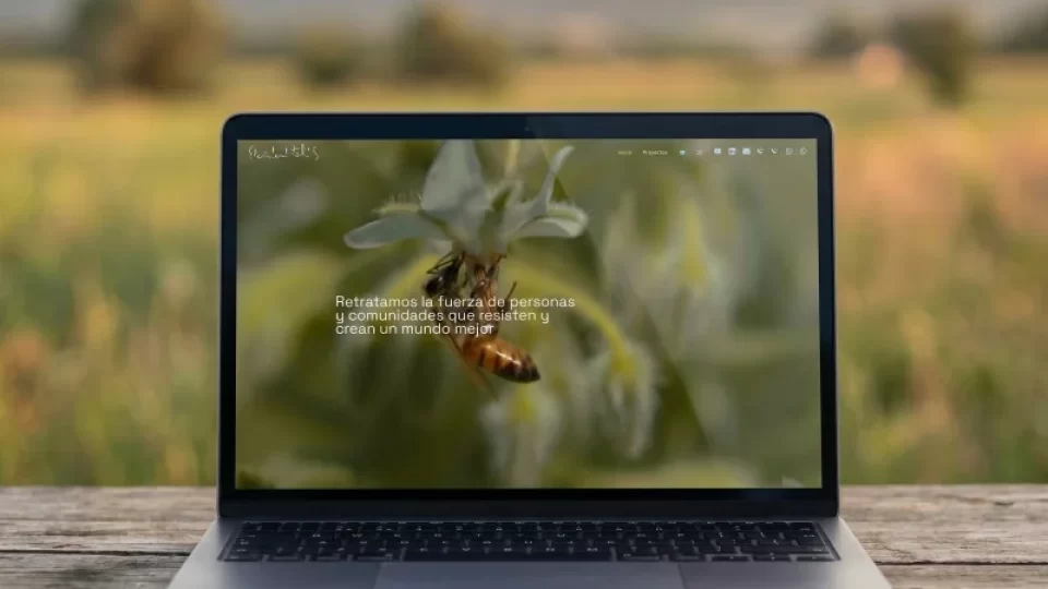 soy-tandem-web-diseno_elementales-productora-cine-documental